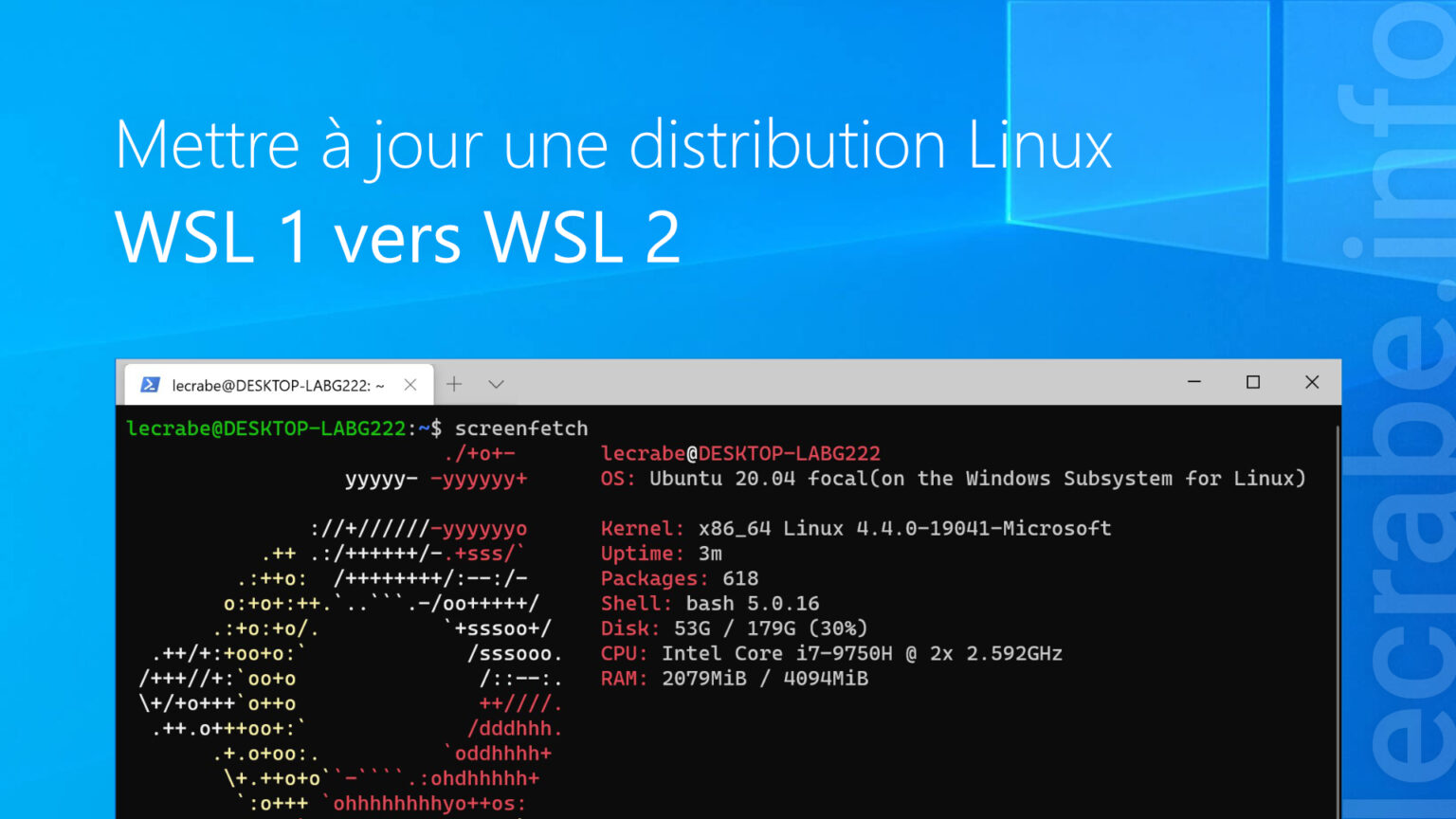 Mettre à jour une distribution Linux WSL 1 vers WSL 2 Le Crabe Info