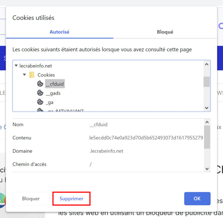 Google Chrome supprimer les cookies d’un site Le Crabe Info