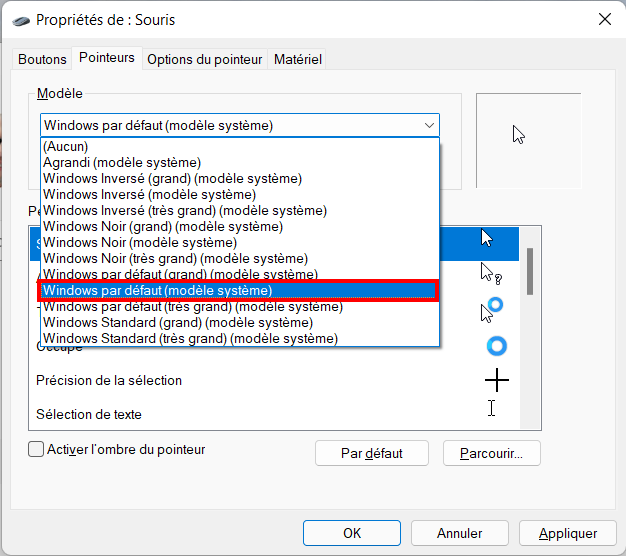 Windows 11 Personnaliser thème - Choisir modèle curseur de souris