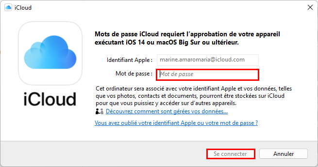 Saisissez le mot de passe du compte Apple sur iCloud pour Windows