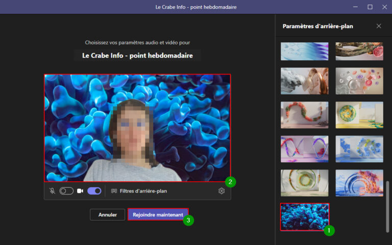 Comment Mettre Un Fond D cran Sur Teams M thodes Faciles Le Crabe Info comment-mettre-un-fond-d-cran-sur-teams-m-thodes-faciles-le-crabe-info