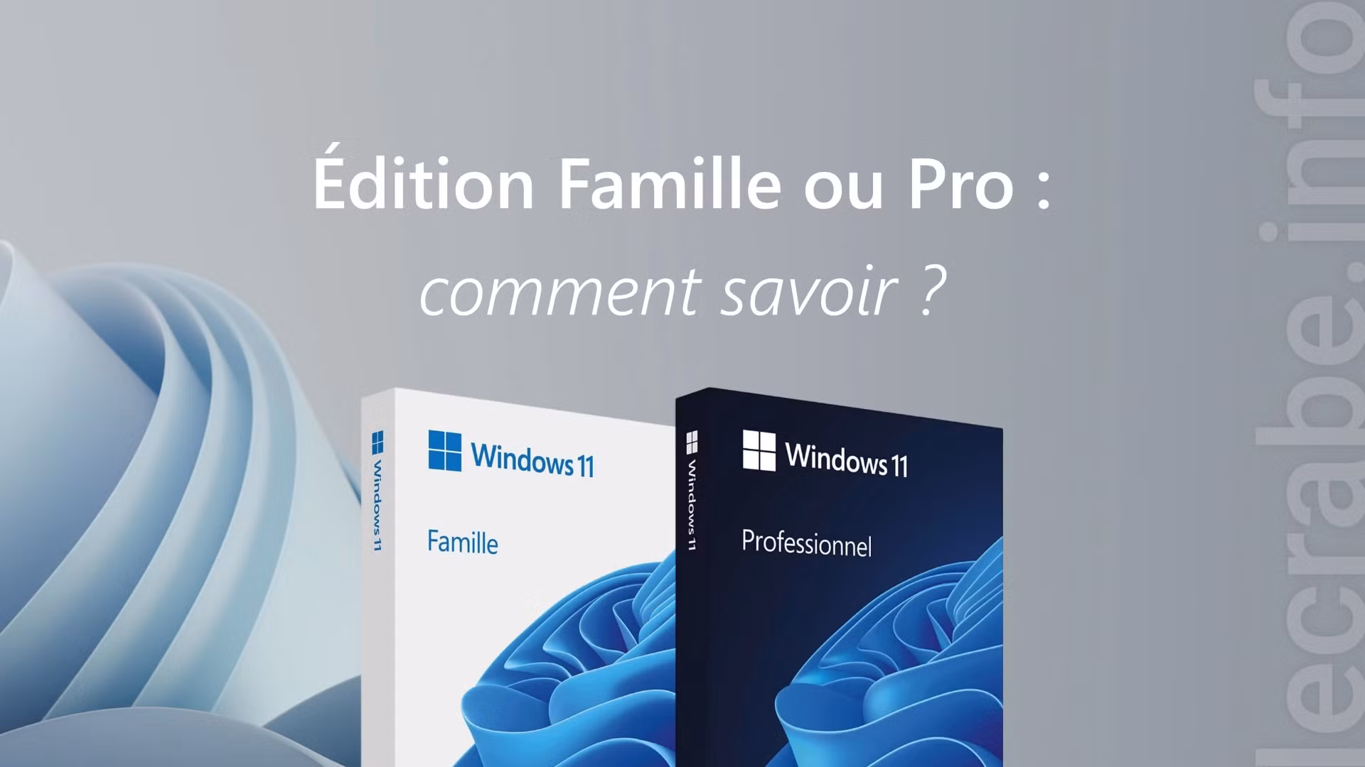 J'ai un Windows Edition Famille ou Edition Professionnelle ?