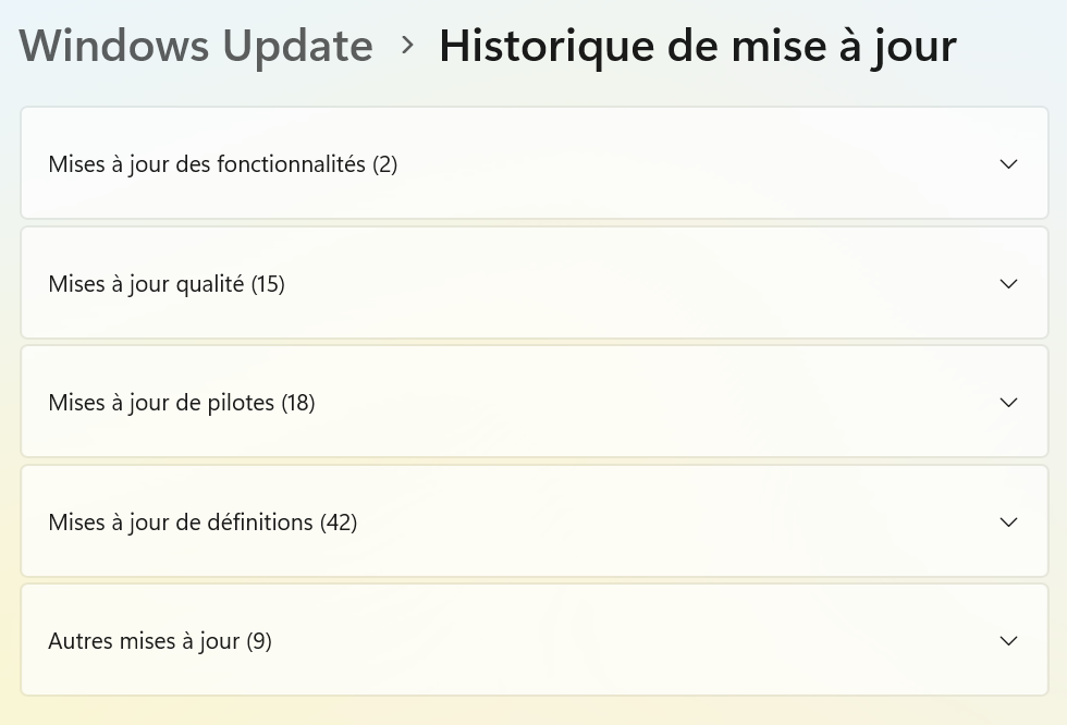 Les catégories de mises à jour Windows 11 dans l'Historique des mises à jour.
