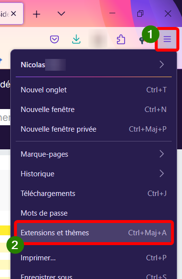 Menu de l'application > Extensions et thèmes