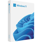 Windows 11 25H2 (x64)