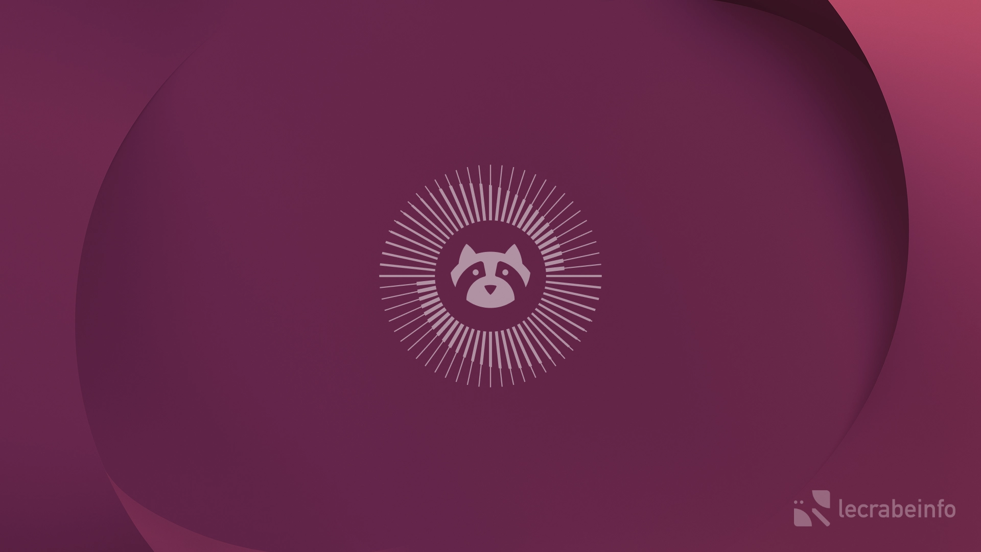Ubuntu 26.04 « Resolute Raccoon » : après la mascotte, le fond d’écran officiel se dévoile