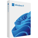 Windows 11 25H2 (x64)