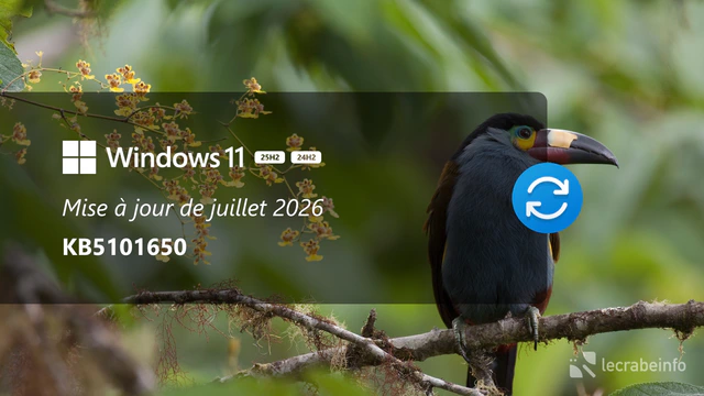 Mise à jour de juillet 2026 (KB5101650)