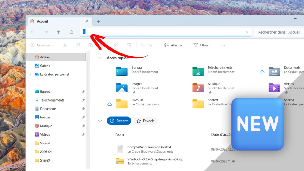 Windows 11 : un simple « ~ » pour accéder à votre dossier utilisateur dans l’Explorateur de fichiers