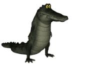 Avatar de Gator95